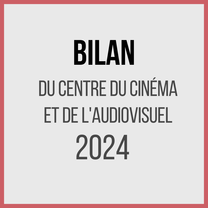 Bilan 2024 du Centre du Cinéma et de l'Audiovisuel (.pdf)